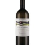 Barbera d'Asti Superiore DOCG La Luna e i Falò 2020 Vite Colte