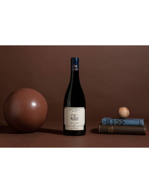 Umbria IGT Pinot Nero Castello della Sala 2020 Marchesi Antinori