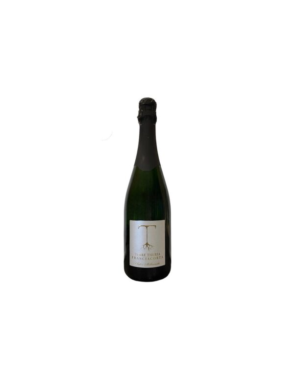 Franciacorta Docg Saten Millesimato 2017 – Terre Thuria Franciacorta Docg Saten Millesimato 2017 – Terre Thuria