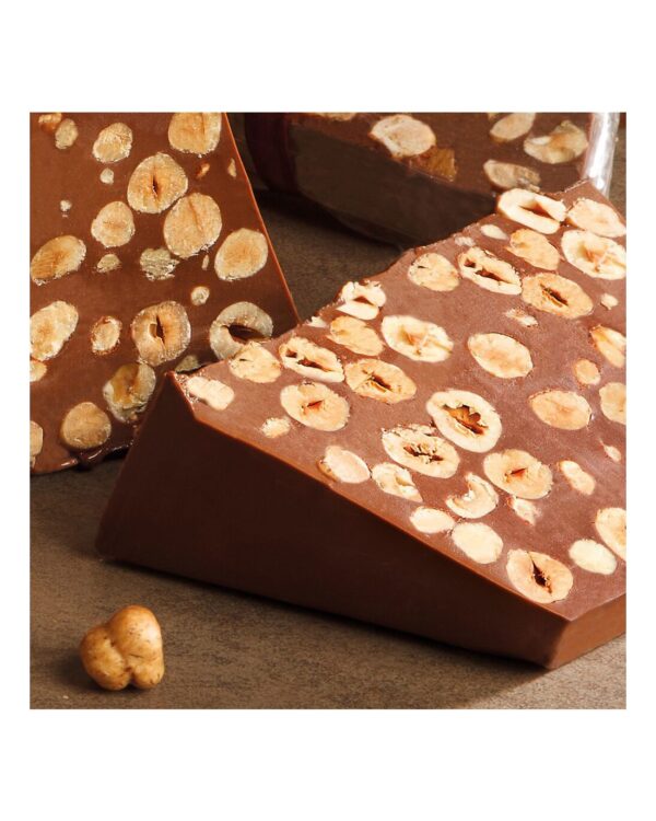 Blocco Venchi artigianale Gianduia Nocciolato 2 kg