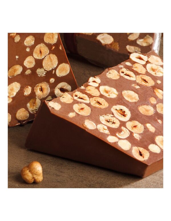 Blocco Venchi artigianale Gianduia Nocciolato 2 kg