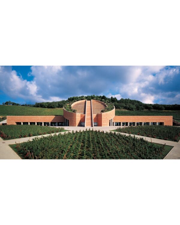 Toscana IGT Cabernet Sauvignon Potenti 2021 Petra