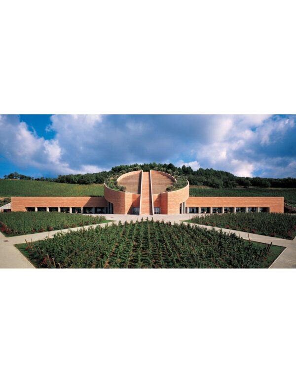 Toscana IGT Cabernet Sauvignon Potenti 2021 Petra