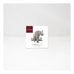 Tavoletta Domori Cioccolato Fondente Tanzania 70% - 50g