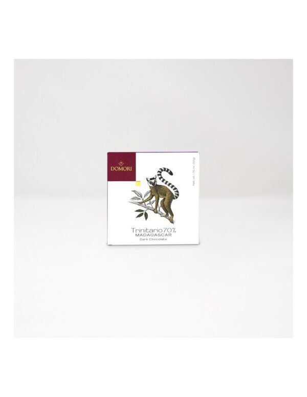 Tavoletta Domori Cioccolato Fondente Madagascar 70% - 50g