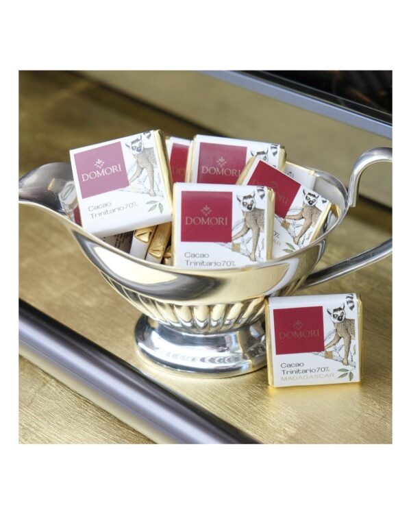 Cioccolatino Domori napolitain Madagascar 70% Single Origins in sacchetto da 100g