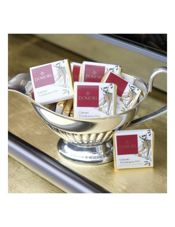 Cioccolatino Domori napolitain Madagascar 70% Single Origins in sacchetto da 100g