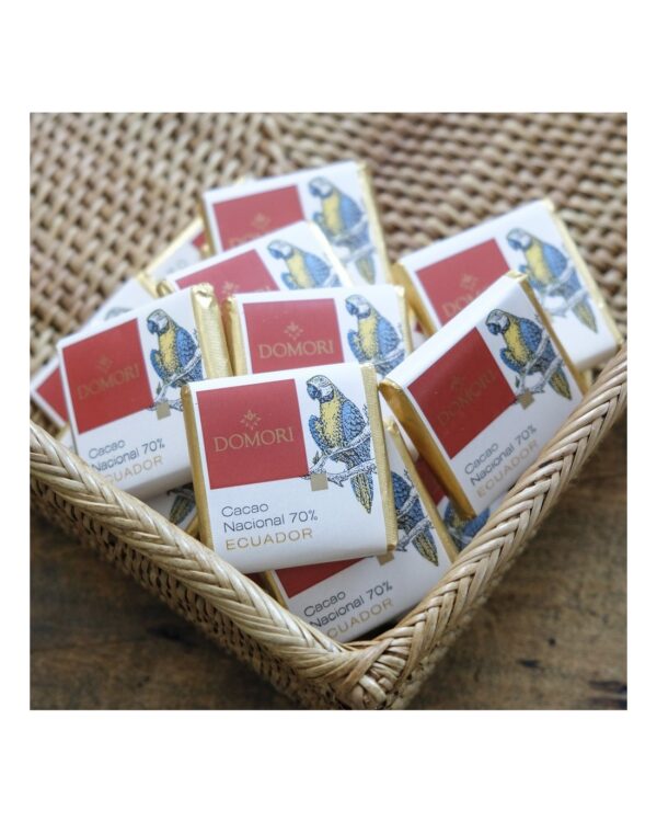 Cioccolatino Domori napolitain Ecuador 70% Single Origins in sacchetto da 100g