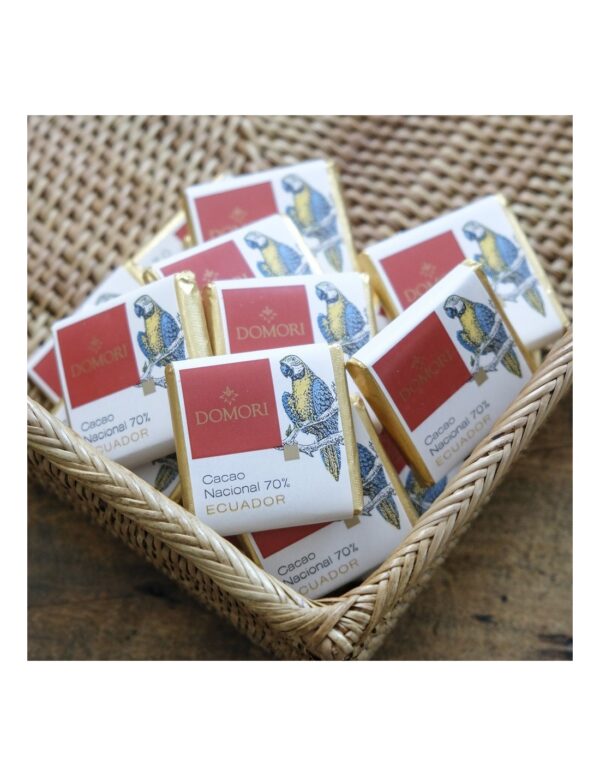 Cioccolatino Domori napolitain Ecuador 70% Single Origins in sacchetto da 100g
