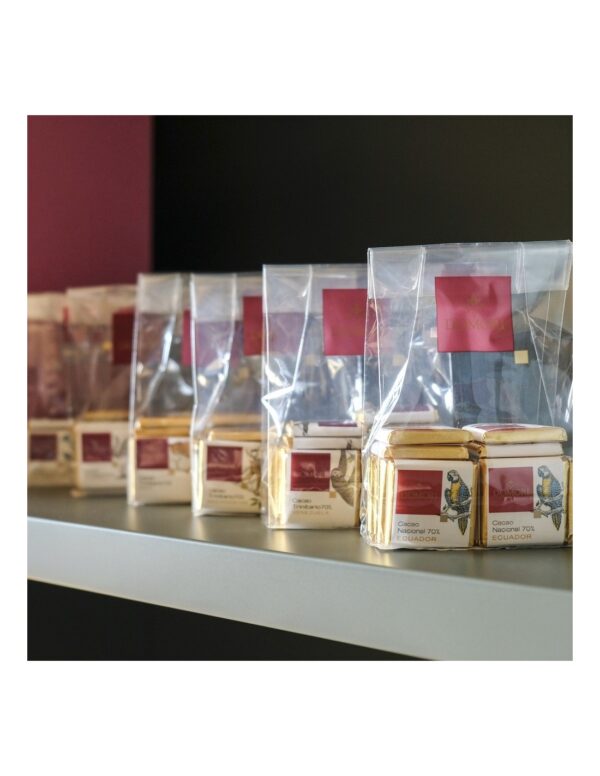 Cioccolatino Domori napolitain Ecuador 70% Single Origins in sacchetto da 100g