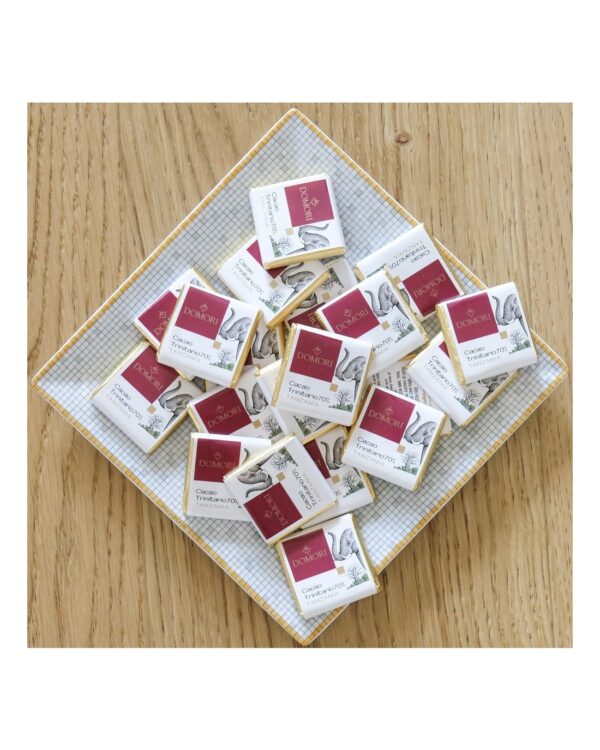 Cioccolatino Domori napolitain Tanzania 70% Single Origins in sacchetto da 100g