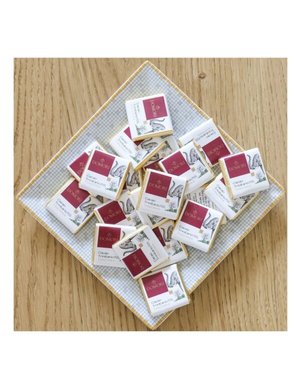 Cioccolatino Domori napolitain Tanzania 70% Single Origins in sacchetto da 100g