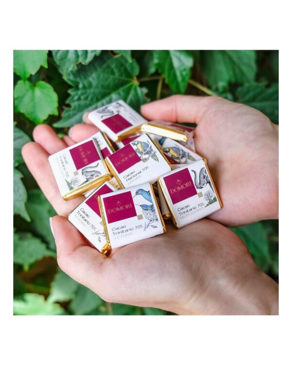 Cioccolatino Domori napolitain Tanzania 70% Single Origins in sacchetto da 100g