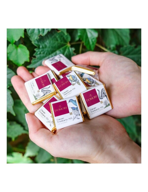 Cioccolatino Domori napolitain Tanzania 70% Single Origins in sacchetto da 100g