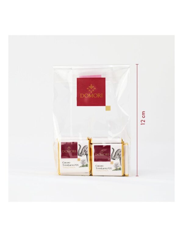 Cioccolatino Domori napolitain Tanzania 70% Single Origins in sacchetto da 100g