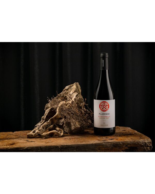 Flaminio Ottavianello Ostuni DOC 2021 Vallone