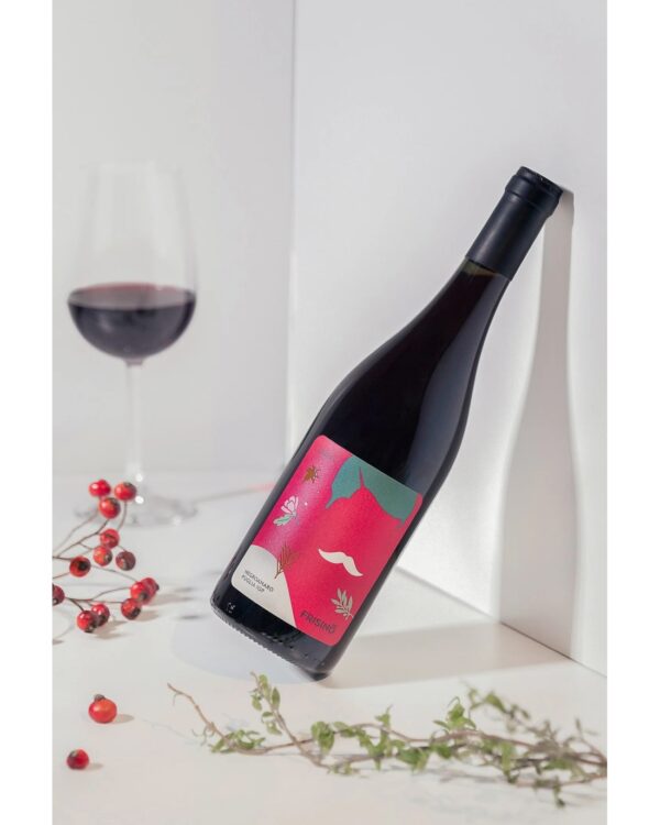 Legami Negroamaro IGP 2022 Frisino