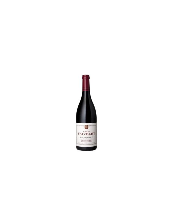 Bourgogne Pinot Noir Domaine Faiveley 2021 Bourgogne Pinot Noir Domaine Faiveley 2021