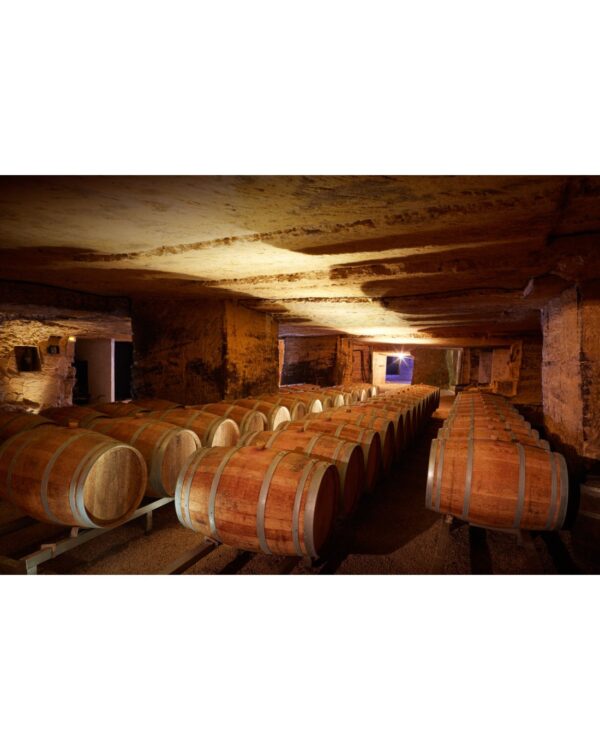 Chateau Rochebelle Saint - Emilion Grand Cru 2019