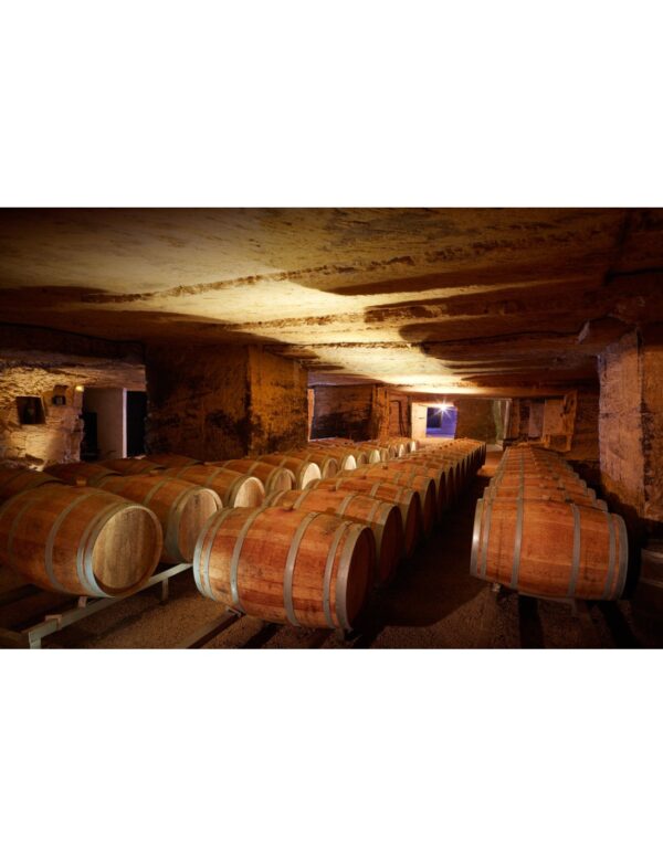 Chateau Rochebelle Saint - Emilion Grand Cru 2019