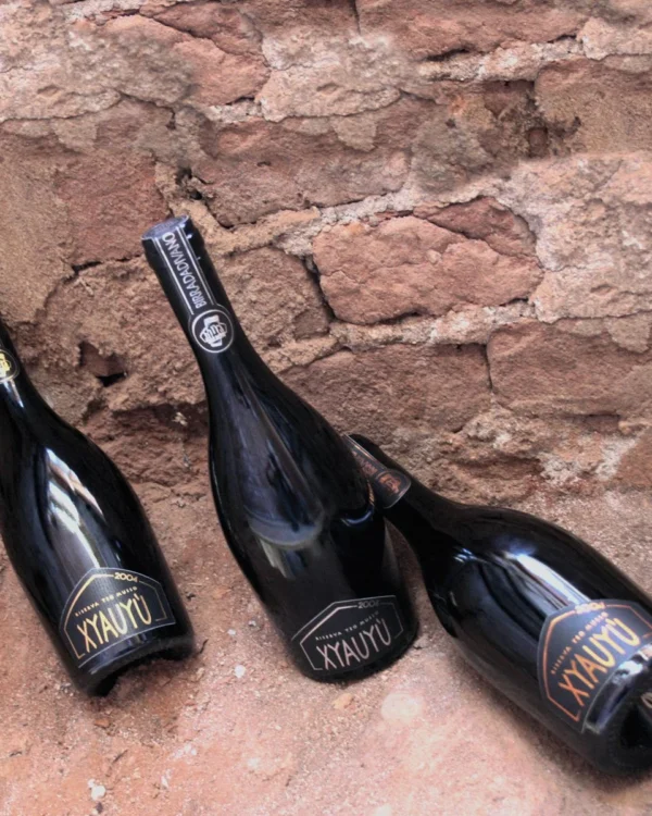 Birra Artigianale Baladin Xyauyù 2018 - immagine 2