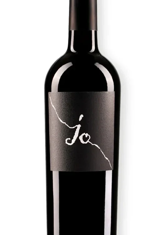 Salento Negroamaro IGT “Jo” 2022 Gianfranco Fino - immagine 1