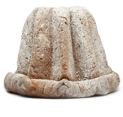 Pandoro