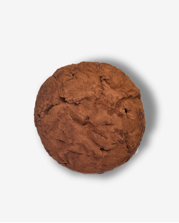 Panettone Tiramisu Lievitato Pasticceria la Ruota - immagine 2