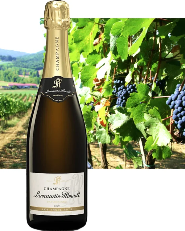 Champagne Brut Tradition Les 3 Puys 1,5L Magnum Larnaudie Hirault - immagine 1