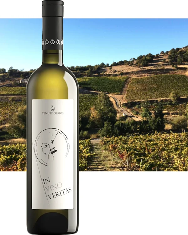 Vermentino di Gallura DOCG In Vino Veritas 2013 Tenute Olbios - immagine 2